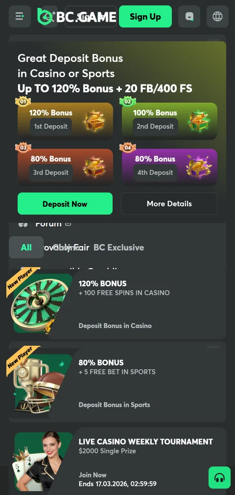 BC Game Casinon mobiililompakko, talletusosoite ja QR-koodi näkyvissä
